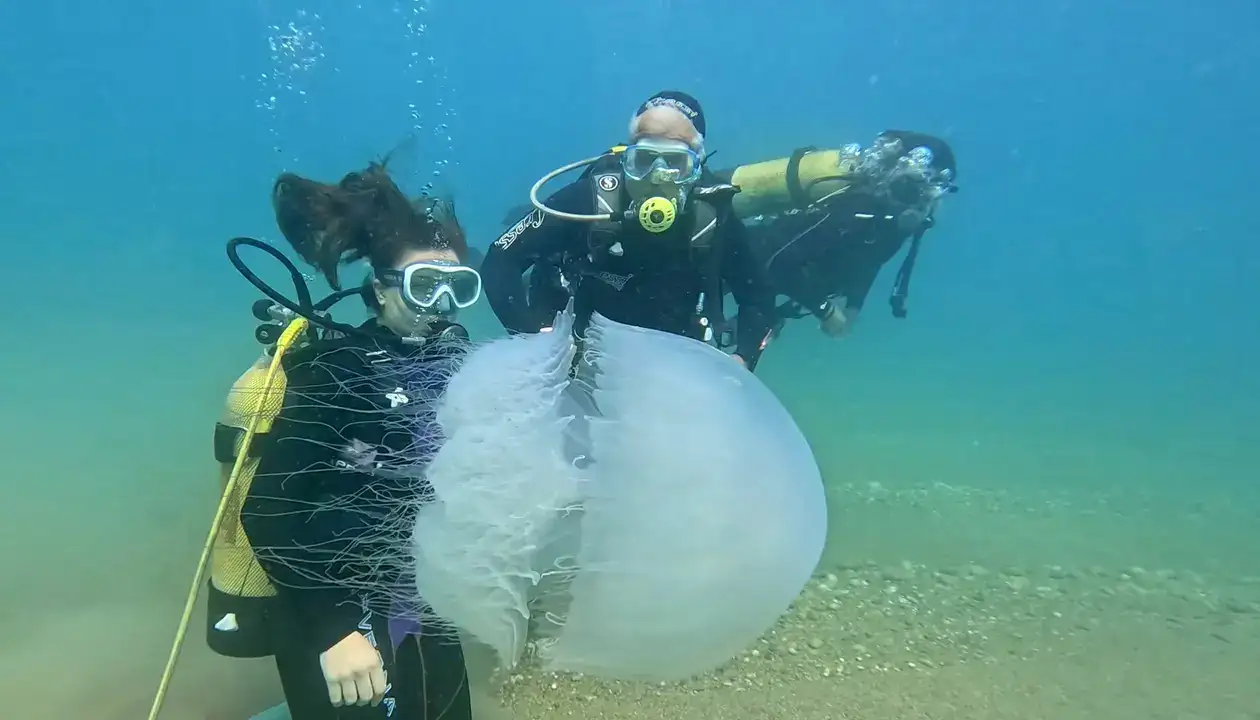 Akdeniz'in Devleri Antalya Körfezi'ni Kuşattı 9
